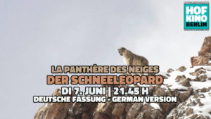 der schneeleopard 7 juni 2022 freiluftkino berlin friedrichshain